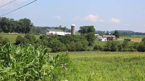 Farmland throughout the project area will be considered during Final Design